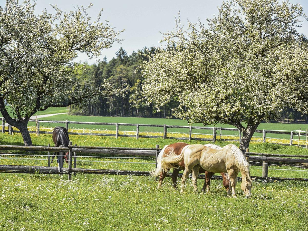 Ferienwohnung Im Weiler Winterlingen Bagian luar foto